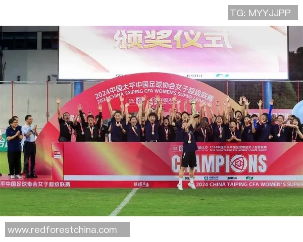 武汉足球队在冠军赛中的比赛经验与表现深度解析