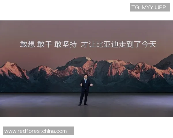 深圳篮球队逆袭之路揭秘：从低谷到巅峰的杯赛传奇故事