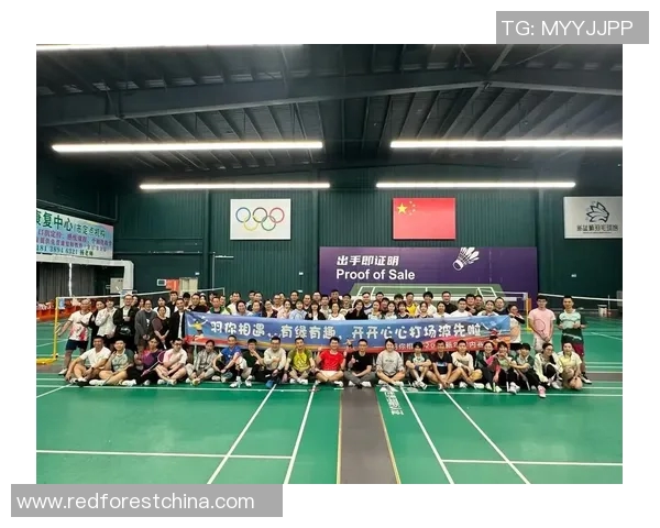 武汉羽毛球队的节奏与魅力：聚焦羽毛球运动的未来发展与挑战