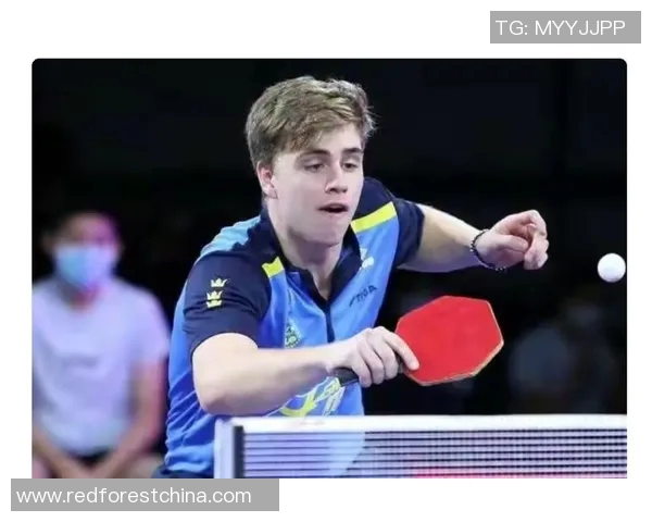 刘强的乒乓球人生深度对话探索运动背后的坚持与奋斗