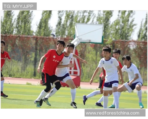 北京足球队灵活性揭秘：战术创新与球员适应性的完美结合