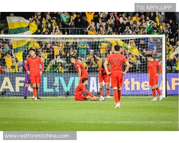 印尼红色足球明星阵容揭秘与他们的辉煌成就分析