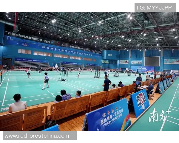 广州羽毛球队整体压制现象解析及其对赛事的影响分析 广州羽毛球队整体压制现象解析及其对赛事的影响分析