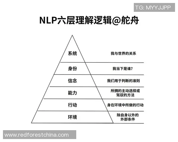 成都排球队团队协作的独特优势与其他球队的深度比较分析