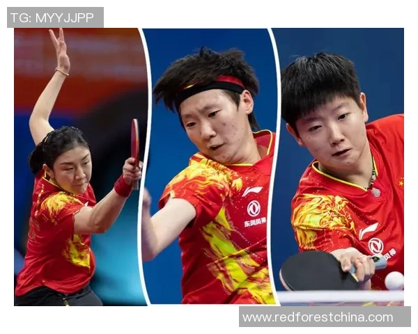 成都网球队在冠军赛中的灵活战术与团队协作表现分析