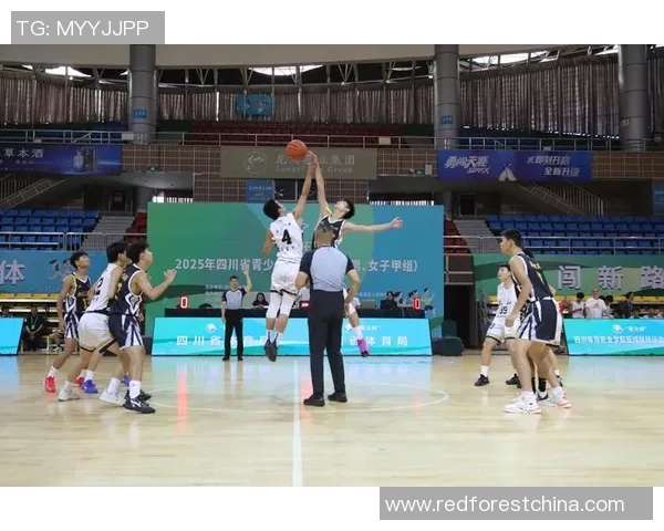 成都篮球队整体压制表现分析与未来发展方向探讨