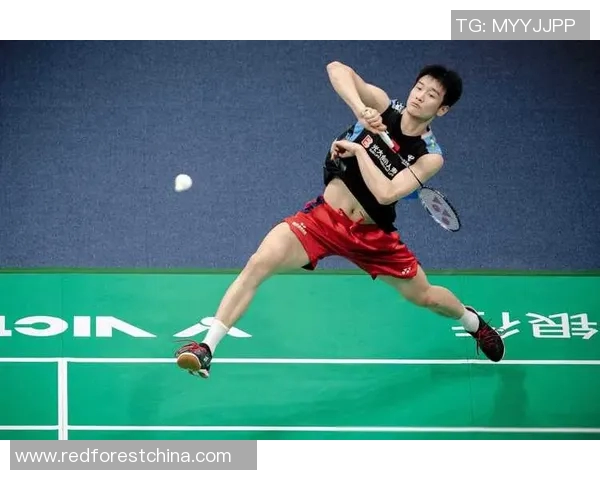 成都羽毛球队的崛起之路大师赛背后的成长与奋斗故事