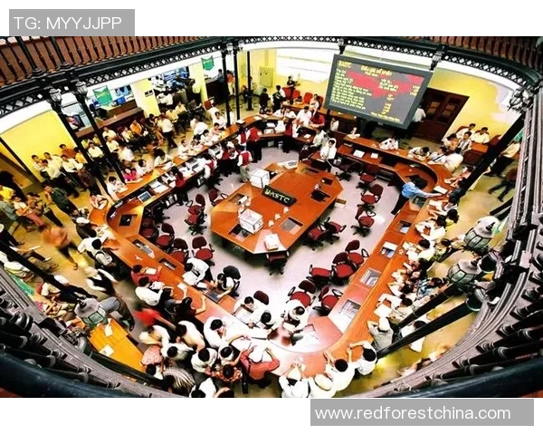 杭州乒乓球队全面革新策略带来的整体压制效应分析与展望