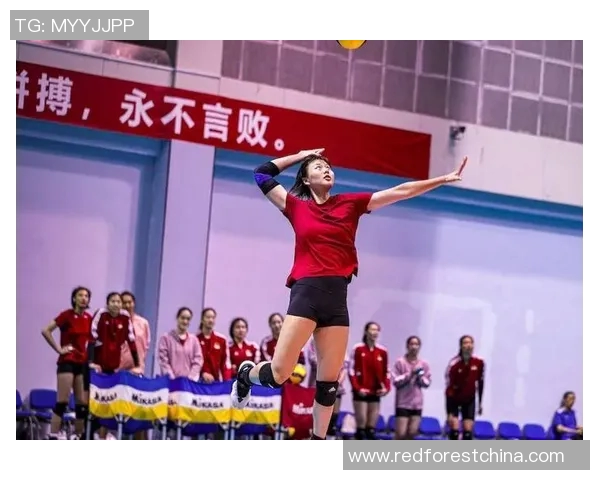 杭州排球队实力强劲荣登排球个人能力排行榜第四名