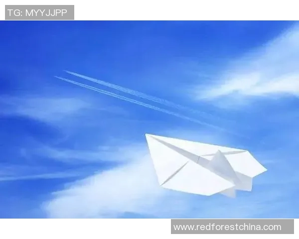 深度对话:杨军在网球场上的追梦历程与人生感悟 深度对话:杨军在网球场上的追梦历程与人生感悟