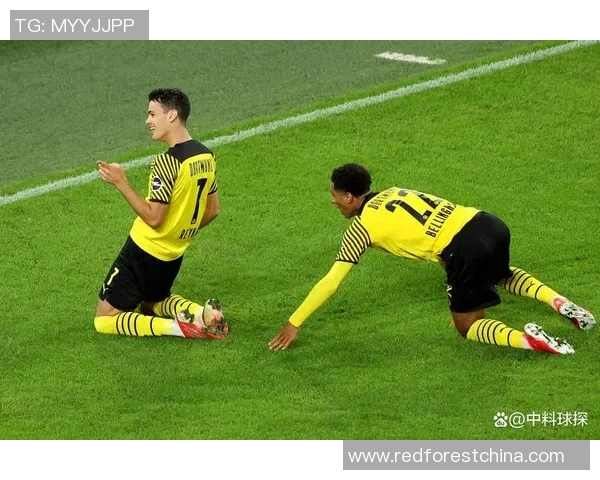 猜猜这些德甲足球明星的身份看图挑战你的足球知识与眼力