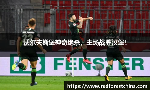 沃尔夫斯堡神奇绝杀，主场战胜汉堡！