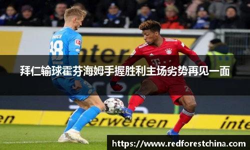 拜仁输球霍芬海姆手握胜利主场劣势再见一面