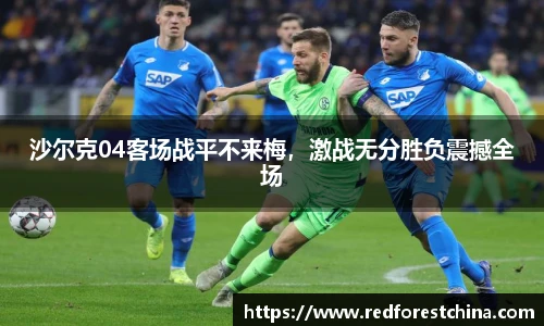沙尔克04客场战平不来梅，激战无分胜负震撼全场