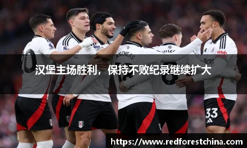 汉堡主场胜利，保持不败纪录继续扩大