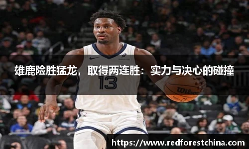 雄鹿险胜猛龙，取得两连胜：实力与决心的碰撞