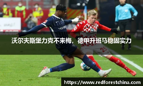 沃尔夫斯堡力克不来梅，德甲升班马稳固实力