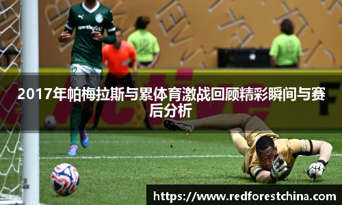 2017年帕梅拉斯与累体育激战回顾精彩瞬间与赛后分析